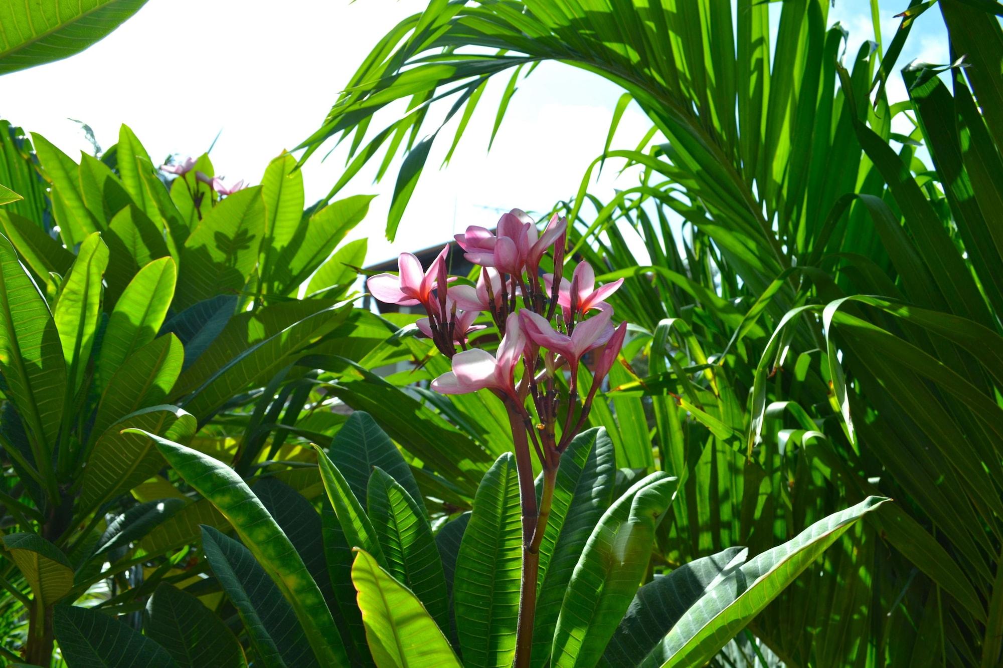 Wonders Boutique Hotel Oranjestad Kültér fotó