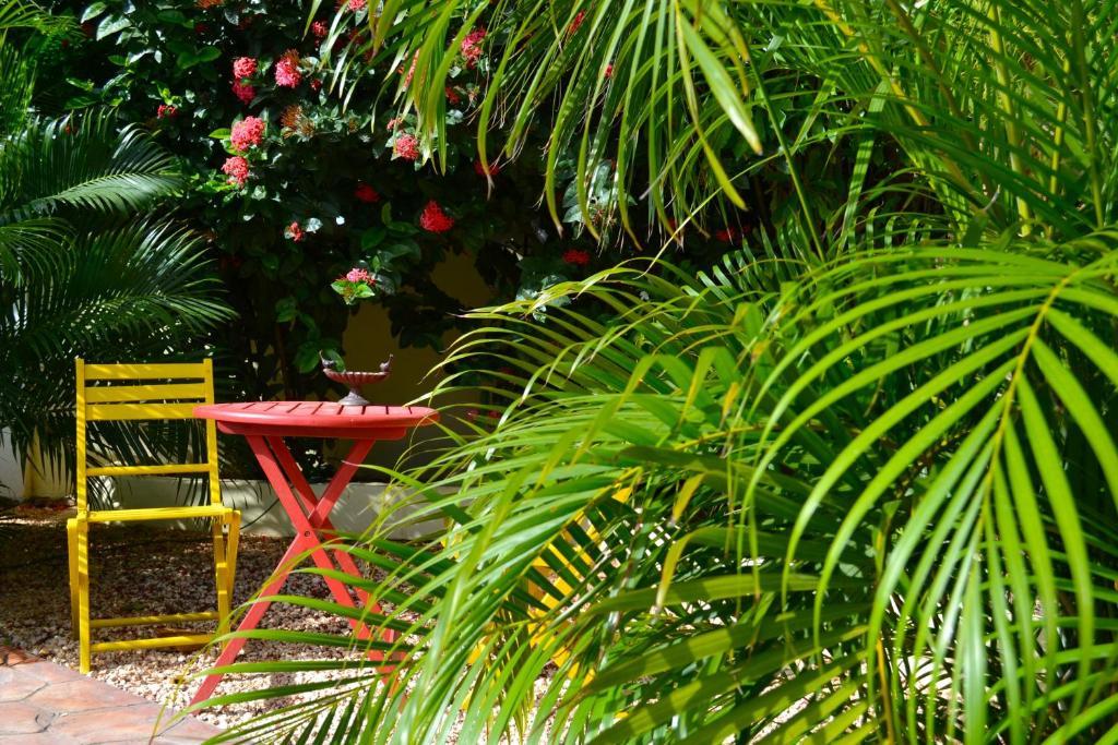 Wonders Boutique Hotel Oranjestad Kültér fotó